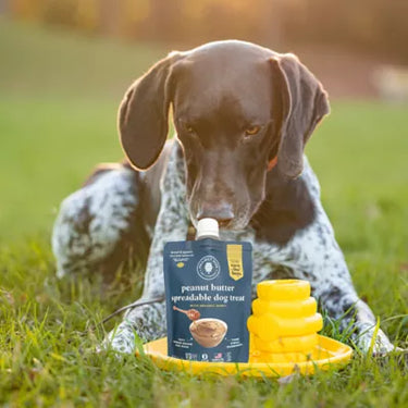 Hive Peanut Butter Spreadable Dog Treat 6oz